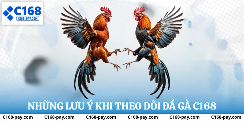 Đá Gà C168 – Trải Nghiệm Đá Gà Trực Tuyến Ổn Định Và Rõ Ràng 3 Những lưu ý khi theo dõi đá gà c168